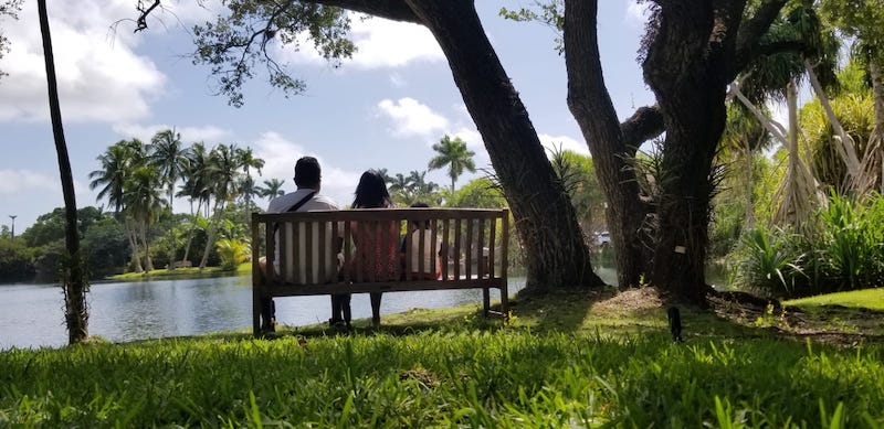 Los jardines botánicos en Miami son ideales para disfrutar al aire libre.