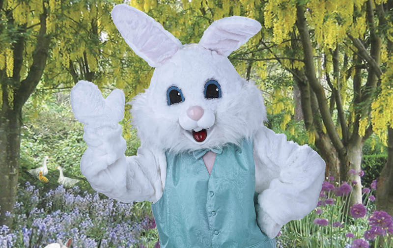 La foto con el conejo de Pascua forma parte de la celebración de Pascua.